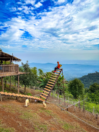 Skywalk Mon Jam flower garden in Mae Rim, Chiang Mai, Thailand