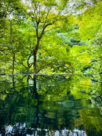 Japanese garden view with reflection and flowers, in Arashiyama Kyoto, Japanの写真素材