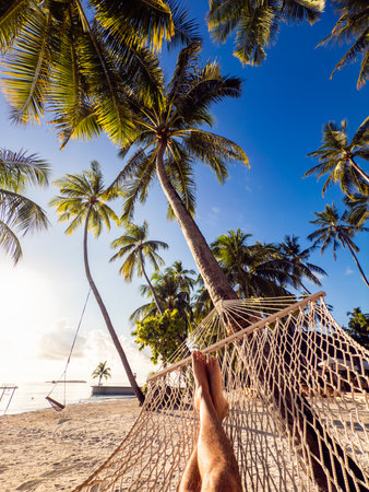 Beach resort in the Maldives, Asiaの写真素材