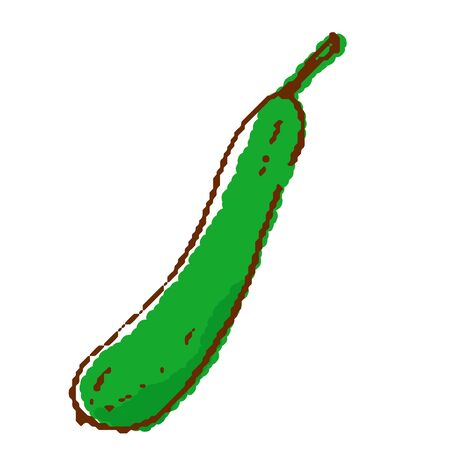 Vegetables cucumberのイラスト素材
