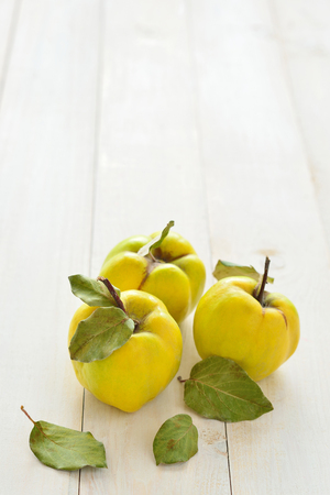 Three quinces on background whiteboardの写真素材