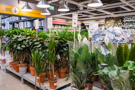 ST. PETERSBURG, RUSSIA - MARCH, 2019: Interior of elegant IKEA furniture store with live plants for the house.のeditorial素材