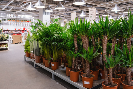ST. PETERSBURG, RUSSIA - MARCH, 2019: Interior of elegant IKEA furniture store with live plants for the house.のeditorial素材