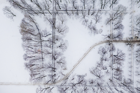 Winter park. Trees and paths top view, the picture taken on the quadcopter.の写真素材