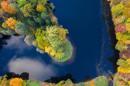Forest Edge Over Lake. Top Down Drone Aerial Image. Vibrant Autumn Colors.の写真素材