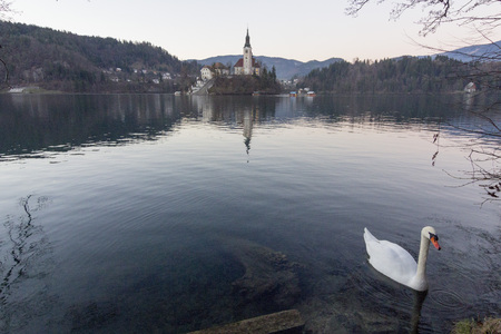 Lake of Bledの写真素材