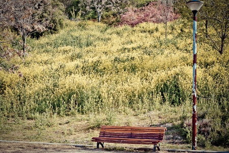 Wooden bench in parkの写真素材