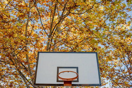 Basketball hoop with autumn  trees on backgroundの写真素材