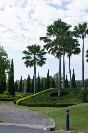 Beautiful gardens on blue sky backgroundの写真素材