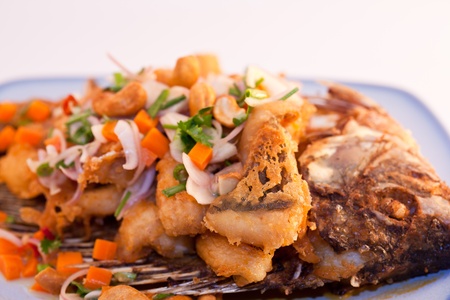 close up delicious thai food  Stir fish sauceの写真素材