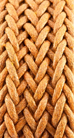 close up brown leather belt isolated on white backgroundの写真素材