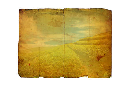 close up Old paper textureの写真素材