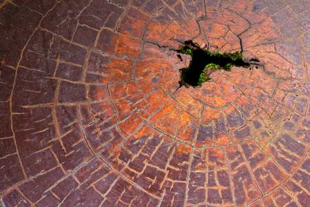 close up wood textureの写真素材