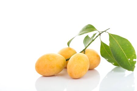 Sweet Marian plumsの写真素材