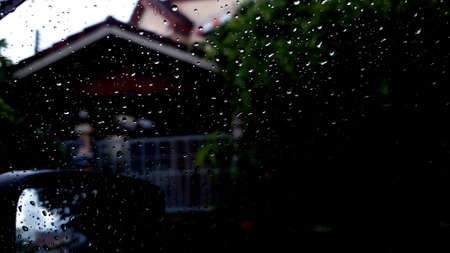 rain dropの写真素材