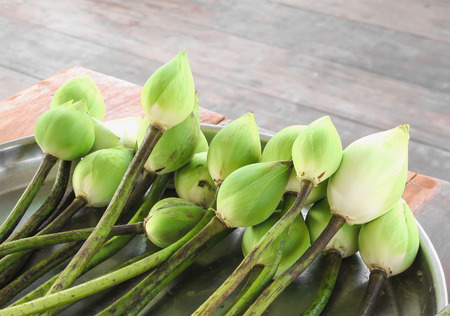 Green lotus on metal plate, for Buddha worshipの写真素材