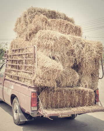 Dried yellow hay or haystack on old truck, colored filter effectの写真素材