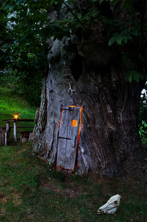 The house of Elves - This huge centuries-old chestnut tree is located in the hamlet, now inhabited for years, in the village of Mindino of Garessio, Piedmont.の写真素材