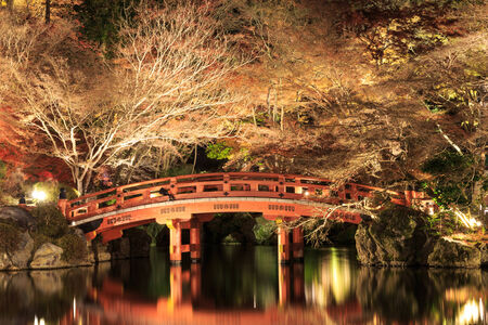 Autumn season,The bright color of red in Daigoji Temple, Japan のeditorial素材