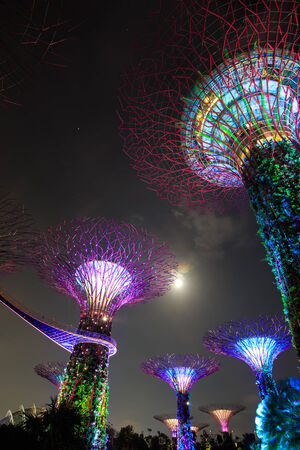 SINGAPORE - FEBRUARY 14 : Panorama An aerial view of Gardens by the Bay on Feb 14, 2014 in Singapore. Gardens by the Bay is a park spanning 101 hectares of reclaimed landのeditorial素材