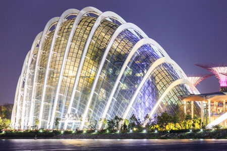 SINGAPORE - FEBRUARY 15: Night view of the Supertree Grove on Feb 15, 2014 in Singapore .The Supertree Grove, Cloud Forest & Flower Dome at Gardens by the Bayのeditorial素材