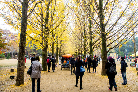 NAMISEOM - NOVEMBER 03 : Tourists visit the traditional Korean cottages on Nami Island on November 03, 2013 in Chuncheon, South Korea.のeditorial素材