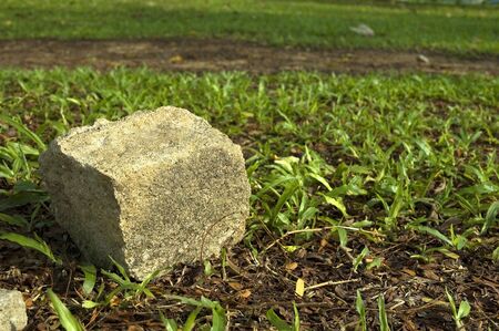 Rock on Grass Patchの写真素材