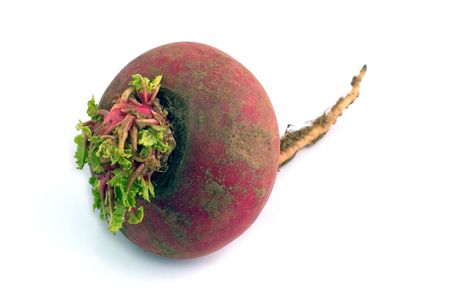 Turnip