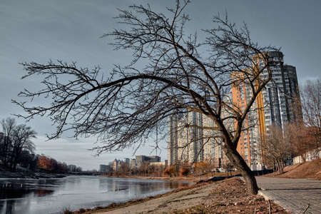 A leafless tree leaned over the frozen river. Winter ice covered the water. The cobblestone path leads to a yellow high-rise building. Gray sky on a sunny day.の写真素材
