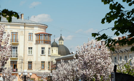 Chernivtsi, Ukraine - 01/05/2022: Blossoming sakura tree on the background of houses, street lamp of the old city. Cross on the roof of the church. vertical photography. Sunny day.のeditorial素材