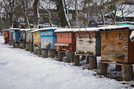 The old apiary in the winter garden. Colorful houses for bees made of wooden boards. agriculture....
