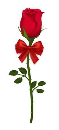Beautiful red rose Isolated on white background. realistic gradient mesh vector illustration for valentine's day.のイラスト素材