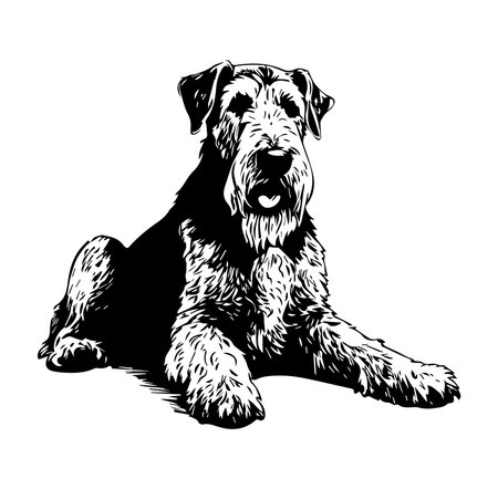 A stylized black and white illustration of a relaxed Airedale Terrier dog. The artwork captures the unique features and charm of this friendly breed, showcasing its fluffy coat and gentle expression. Ideal for pet lovers.のイラスト素材