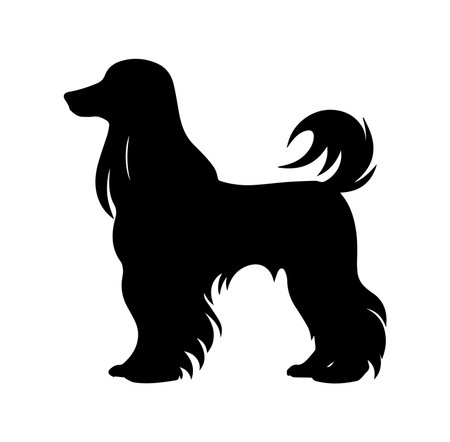 This artistic silhouette features a graceful long-haired dog in profile. The design highlights the dog's elegant features, making it ideal for various creative projects.のイラスト素材