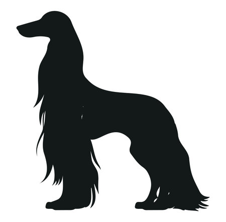 A striking black silhouette of a dog showcasing its flowing fur and elegant posture. Perfect for animal lovers, this design emphasizes beauty and grace.のイラスト素材