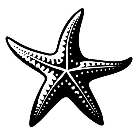 A striking black silhouette of a starfish featuring intricate patterns, perfect for marine-themed designs, ocean conservation projects, or aquatic illustrations.のイラスト素材