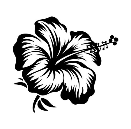 This elegant black silhouette of a hibiscus flower captures the beauty of nature. Ideal for art projects, floral designs, and decorative purposes.のイラスト素材