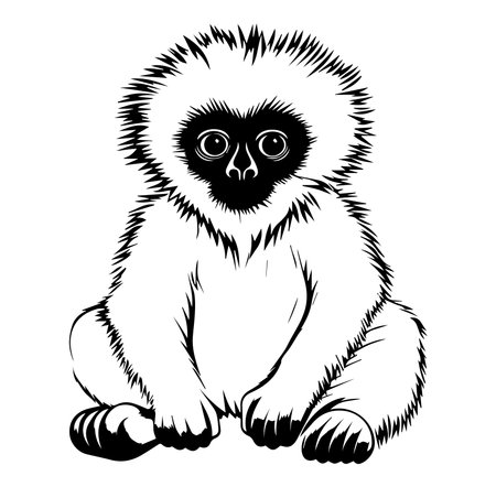 This detailed illustration features a baby gibbon sitting in a curious pose. The black and white design highlights the animal's expressive features, perfect for wildlife enthusiasts.のイラスト素材