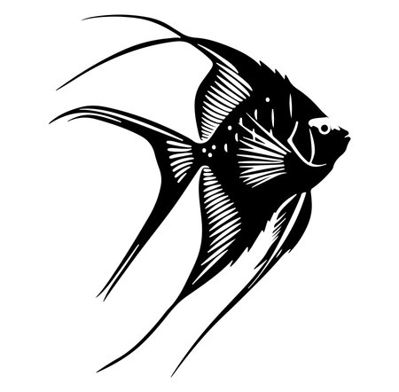 This elegant black and white silhouette of an angel fish showcases its graceful fins and features, perfect for various design projects and artistic expressions.のイラスト素材