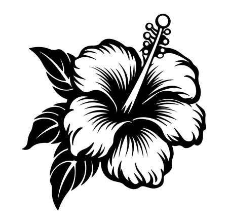 Elegant black and white illustration of a hibiscus flower with intricate leaves. This design captures the beauty of nature and adds a tropical flair. Perfect for various creative projects.のイラスト素材