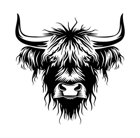 Detailed silhouette of a Highland cattle head featuring long hair and prominent horns. This striking design is perfect for farm-themed projects and rustic decor.のイラスト素材