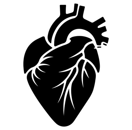 A detailed illustration of an anatomical heart, perfect for medical, educational, or artistic projects. This vector design captures the intricacies of the heart.のイラスト素材