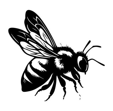 This black and white illustration features a detailed honey bee, showcasing its wings and body. Ideal for nature and artistic themes.のイラスト素材