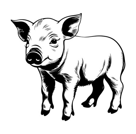 This black and white illustration features a cute piglet with a charming expression, perfect for farm-related themes, childrenのイラスト素材