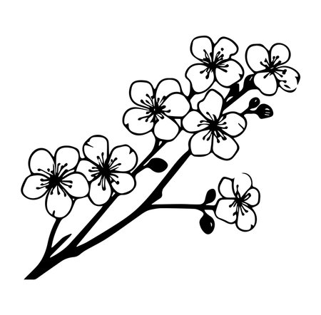 Artistic depiction of cherry blossom flowers in black and white, perfect for adding a touch of nature-inspired beauty to any project or space. Ideal for decoration.のイラスト素材