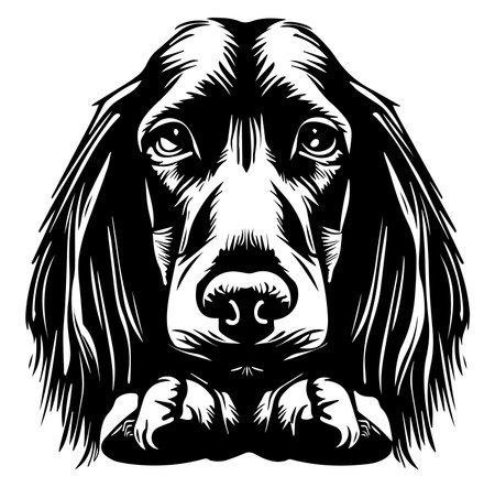 This black and white illustration captures the expressive face of a dog in stunning detail, showcasing its features and personality. Perfect for animal lovers.のイラスト素材