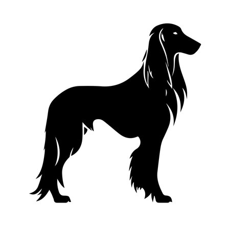 A striking silhouette of a long-haired dog, elegantly posed in profile. Perfect for art projects, greeting cards, or decor with a stylish touch.のイラスト素材