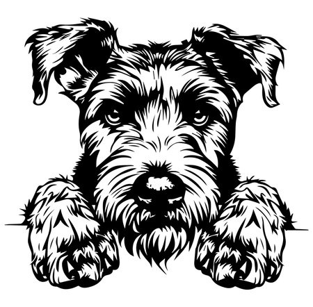 This detailed black and white illustration features a dog with big expressive eyes, showcasing its furry face and paws, perfect for art and design projects.のイラスト素材