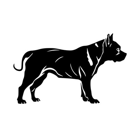 This black silhouette represents a strong dog standing in profile view, showcasing its muscular build and fierce character. Ideal for various design projects.のイラスト素材