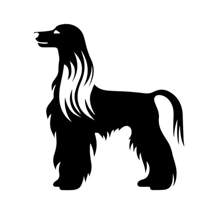 A striking black silhouette of an Afghan Hound stands majestically, showcasing its long flowing fur and elegant profile. Perfect for pet-themed design projects.のイラスト素材